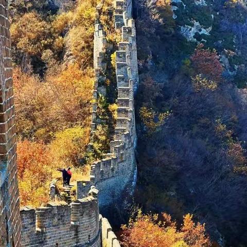 重阳印象
