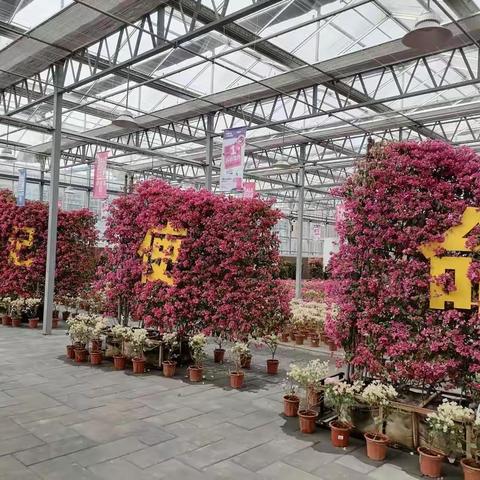 弯弯腰，拾起一片文明