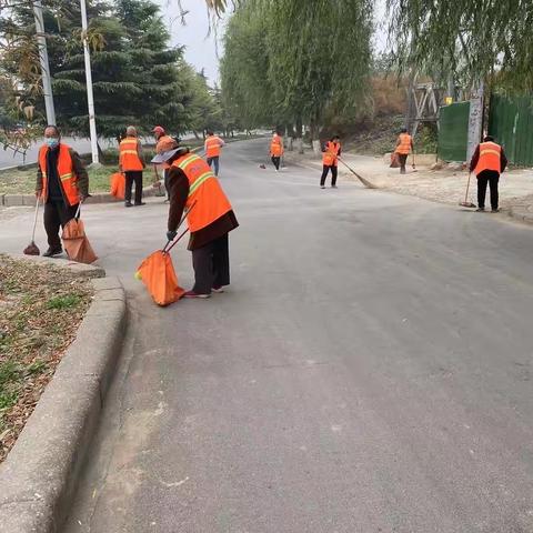 百泉镇“美丽城市清洁日”活动总结