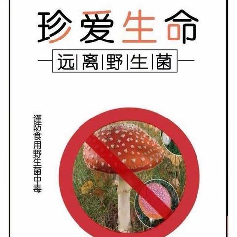 预防野生菌中毒，你我携手同行——新区小学预防野生菌中毒安全宣传