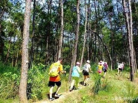 行走课堂【第一堂课会员招募】