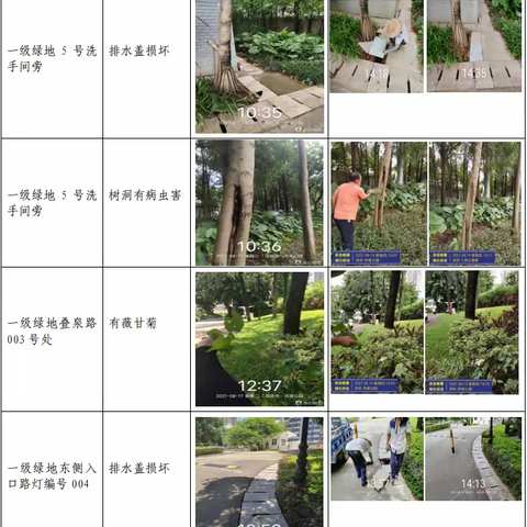 【随机检】洪湖公园8月17日随机检工作汇报