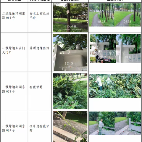 【随机检】洪湖公园8月25日随机检工作汇报