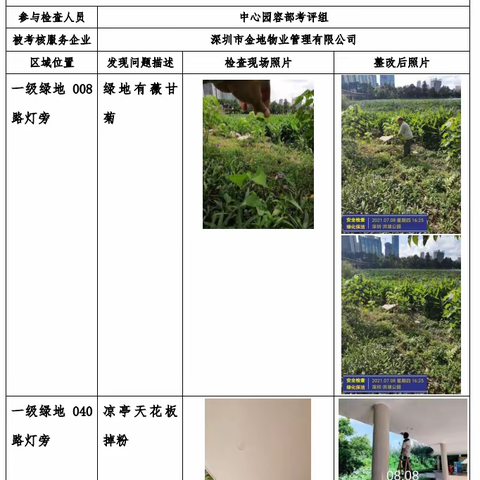 【随机检】洪湖公园7月6日随机检工作汇报