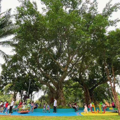 洪湖公园里的“童趣空间”