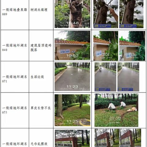 【随机检】洪湖公园8月6日随机检工作汇报