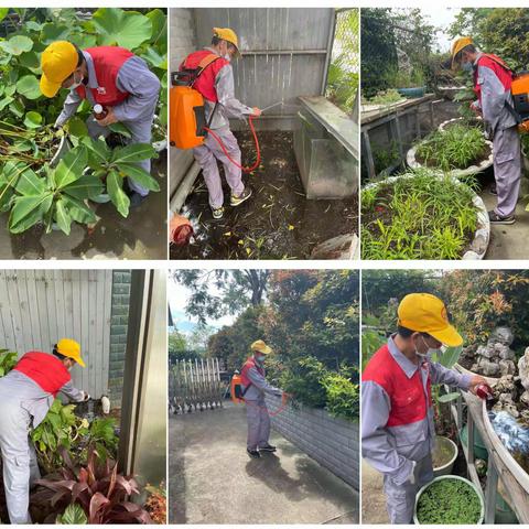 【园容管理周报】洪湖公园2021年7月第1周工作汇报