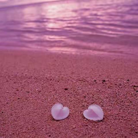 有一种浪漫叫做粉红海滩。(音教二班许思远)