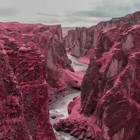 美美的粉红海滩(2017级音教二班许思远)