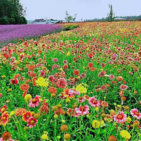 国旗下的荣耀(六）——潘刘小学举行期中检测总结表彰大会