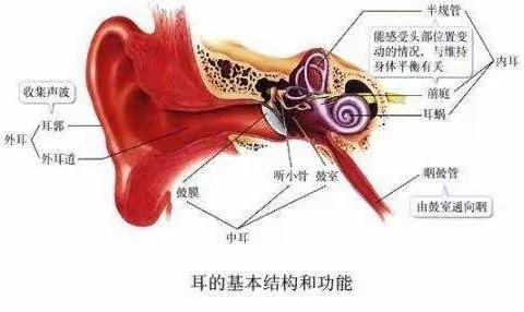 熟知耳鸣耳聋小常识，告别耳鸣耳聋状态