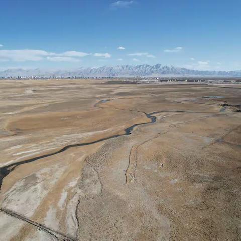 穿红长靴的鸟儿——红脚鹬