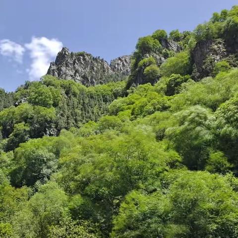 宝察河的山“奇”、“险”、“绿”！