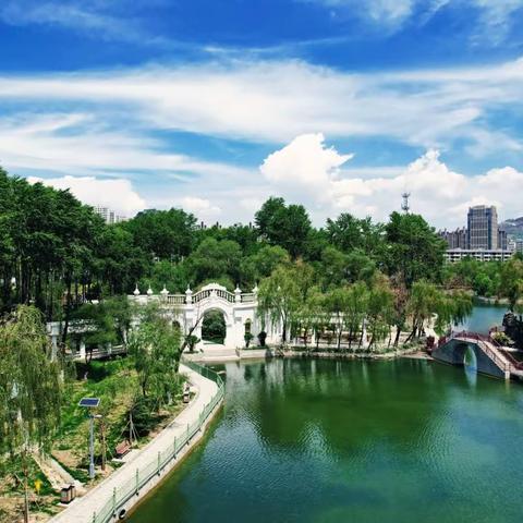 西宁市大通桥头公园 ＿＿淡黄嫩绿之美