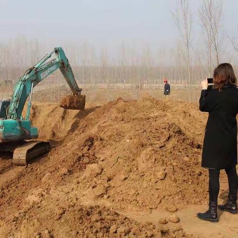 李冬梅：冬梅花开自芬芳