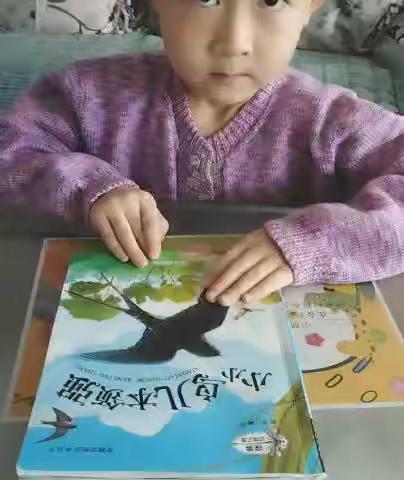 【和美读书节】市四幼教育集团大一班绘本故事分享会