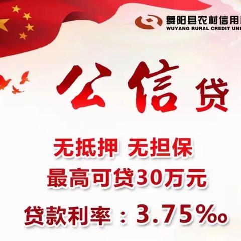 舞阳农信公信贷，给您“贷”来稳稳的幸福