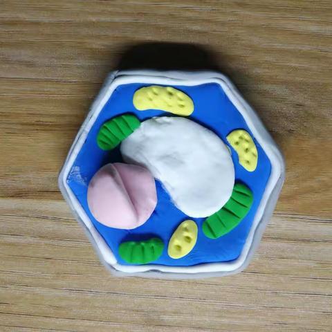特色作业彰显育人方略，量身求法培养学生兴趣