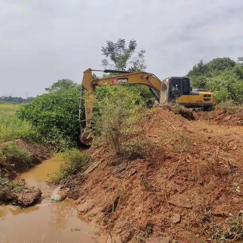 【詹圩镇荫岭村】挖机清淤 抗旱保收