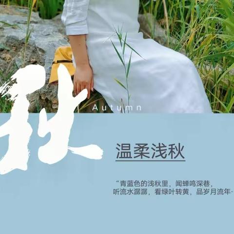 山野的风