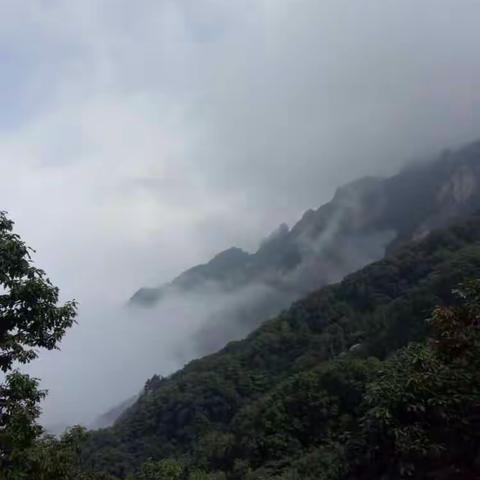去有风的地方……