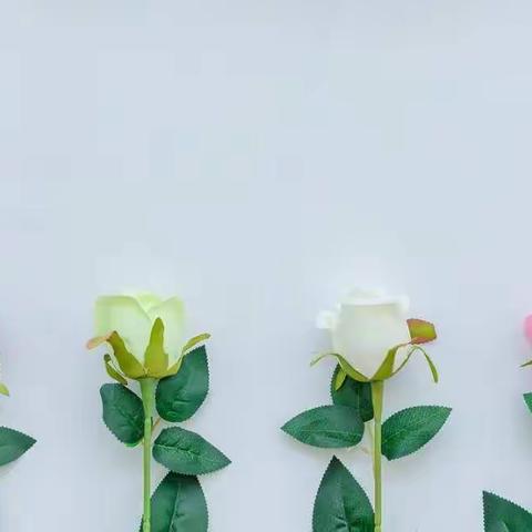 华文小学六年级–––隔“屏”不隔爱，携手盼“春”归–––线上家长会