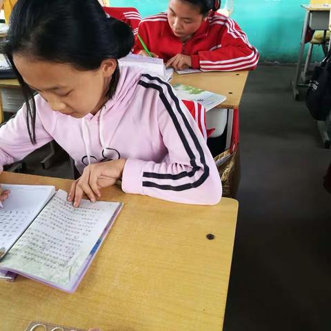 滦县滦城街道办佘庄小学书法社团5月24日活动纪实