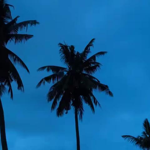 没电的夜，透着妖异的光，外面还大雨倾盆，是不是有种要入戏的感觉(　◞≼☸≽◟ ._ゝ◞≼☸≽◟)