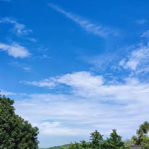 🌞🌞🌞太阳露出来久违的脸，烘干我潮湿的心        ♥️💦💦💦