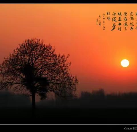 风光一组