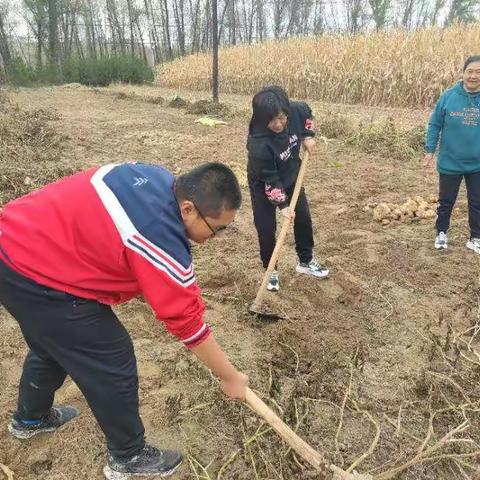 [附中学子这样过国庆]忻州师院附中初一(1)班 赵政尧 2022年国庆假期社会实践小记
