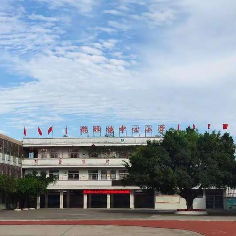 深圳市深汕特别合作区鹅埠镇中心小学2023年秋季小学一年级新生招生通告