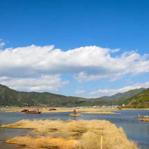 西南边陲之旅(四) 北海湿地