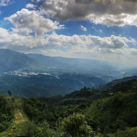 西南边陲之旅(五) 樱花谷