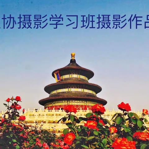 北京教育学院微群摄影展