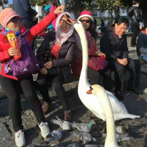 我的美篇