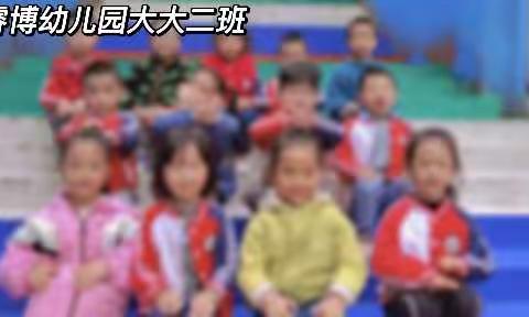 睿博幼儿园大大二班