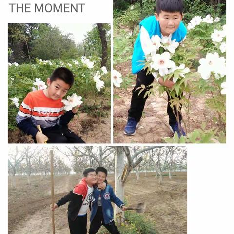 “五一”劳动节，远离城市，回归自然，体验不一样的生活，游玩，种🌽🌽