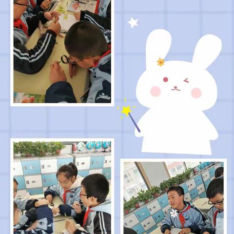 初冬之体验——采摘小白菜