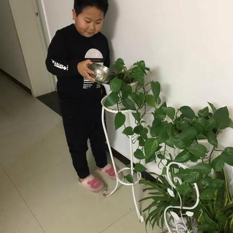 三，3班，我是护绿小卫士。   美篇