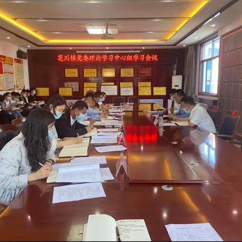 【大学习 铸忠诚】芝川镇组织召开党委理论学习中心组学习研讨会