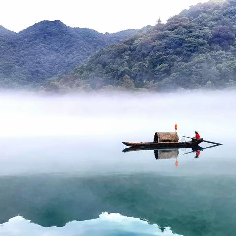 都是萝卜惹的祸