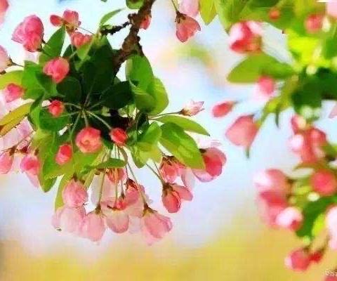 赋能蓄力 扬帆前行——蚌埠市幼儿园园长能力提升班纪实（一）