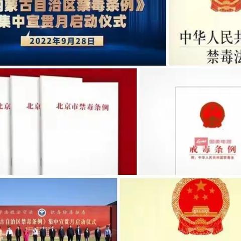 角干学校五年二班观看了《内蒙古自治区禁毒条例》