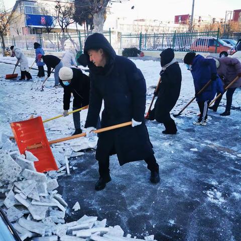 龙华小学党支部清理积雪在行动