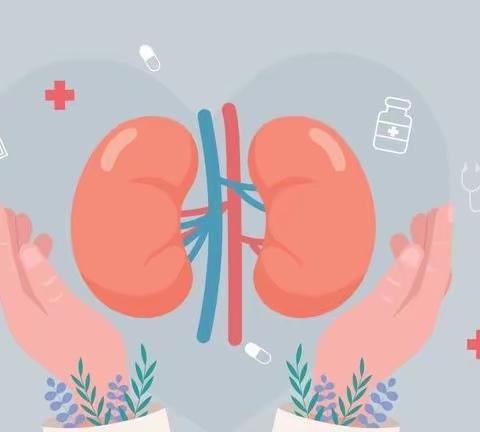 人人享有肾脏健康—应对突发风险，关心弱势群体