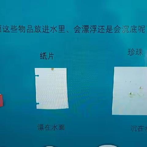 金丹阳幼儿园中班科学《漂在水面上的珠子》