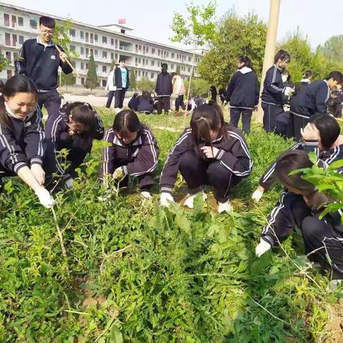 果园趣事