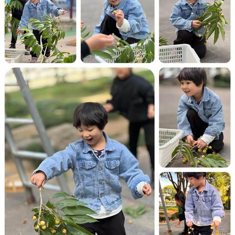 峰江街道小精灵幼儿园大班段主题活动霜降