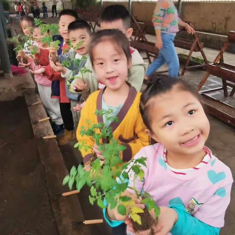 春天是万物复苏，生气勃勃的季节，遂溪县第一幼儿园大B3班全体师生乘着春风，努力编织着心中的植物园……